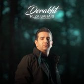 دانلود آهنگ رضا بهاری درخت